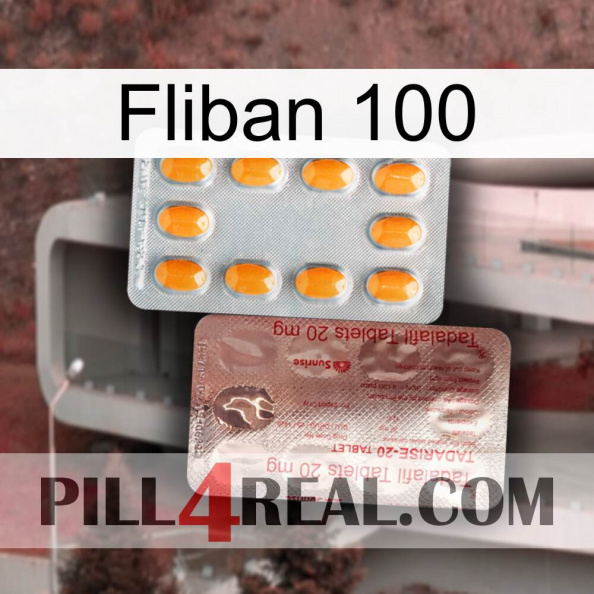 Fliban 100 new13.jpg